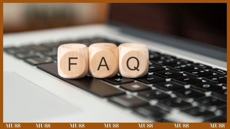 Các câu hỏi thường gặp khi liên hệ